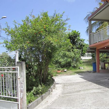 Villa Zannanas เลอ ดีอามงต์ ภายนอก รูปภาพ