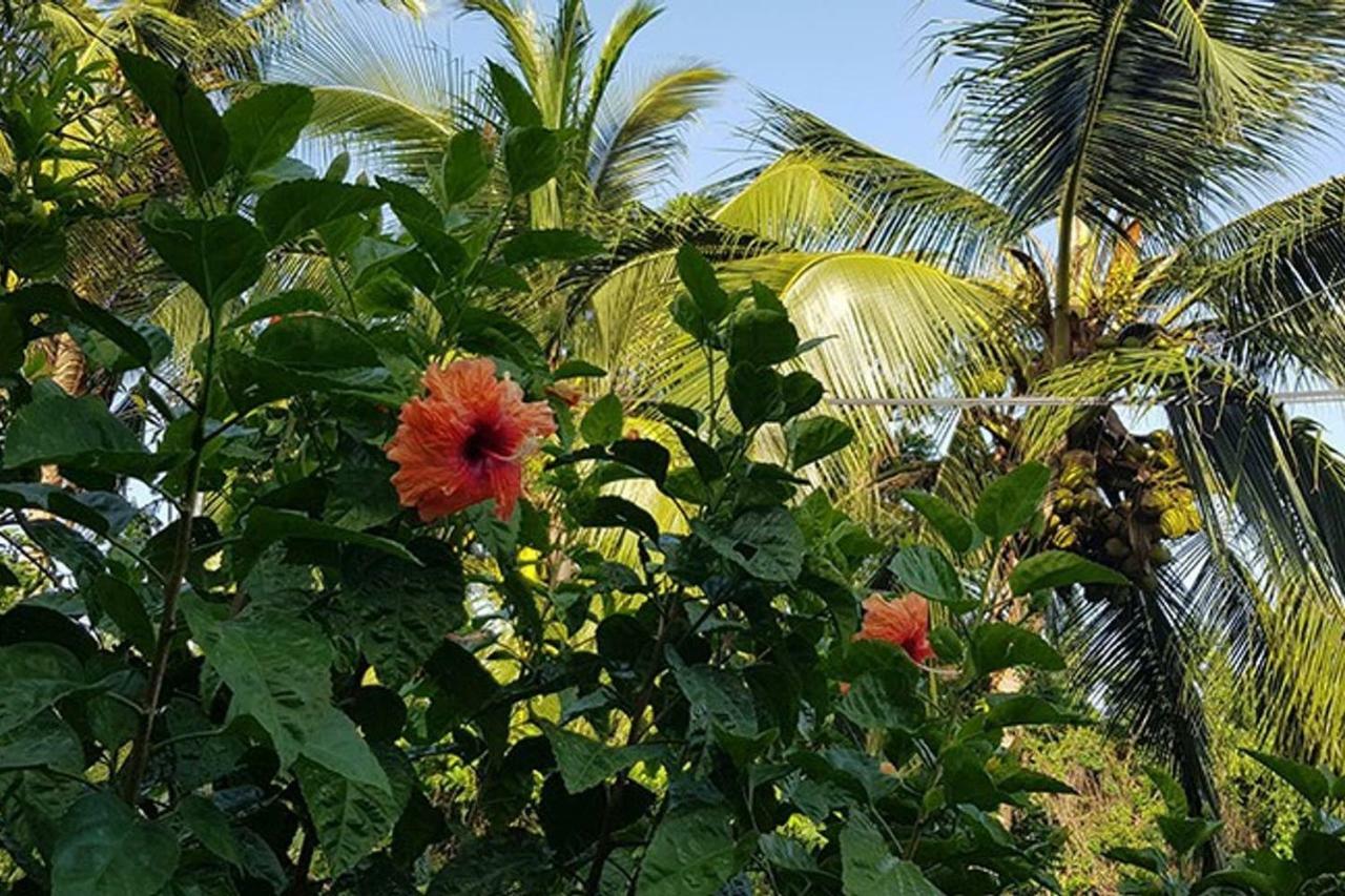Villa Zannanas เลอ ดีอามงต์ ภายนอก รูปภาพ